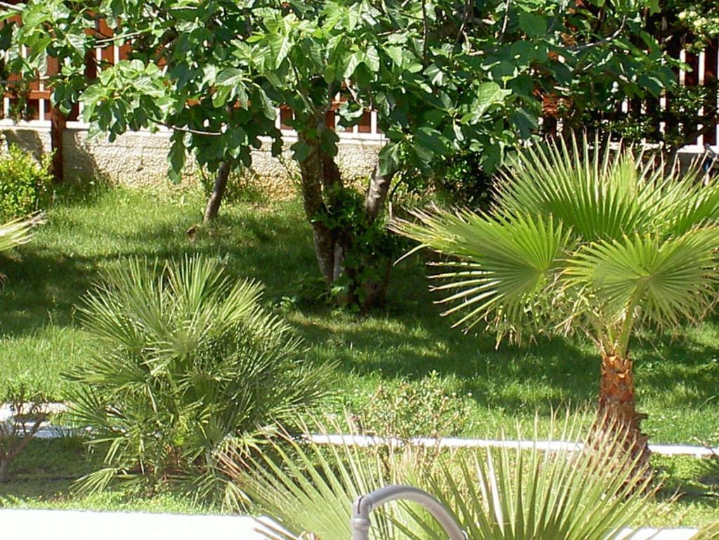 Hotel Baia Del Sole Paestum Exteriér fotografie